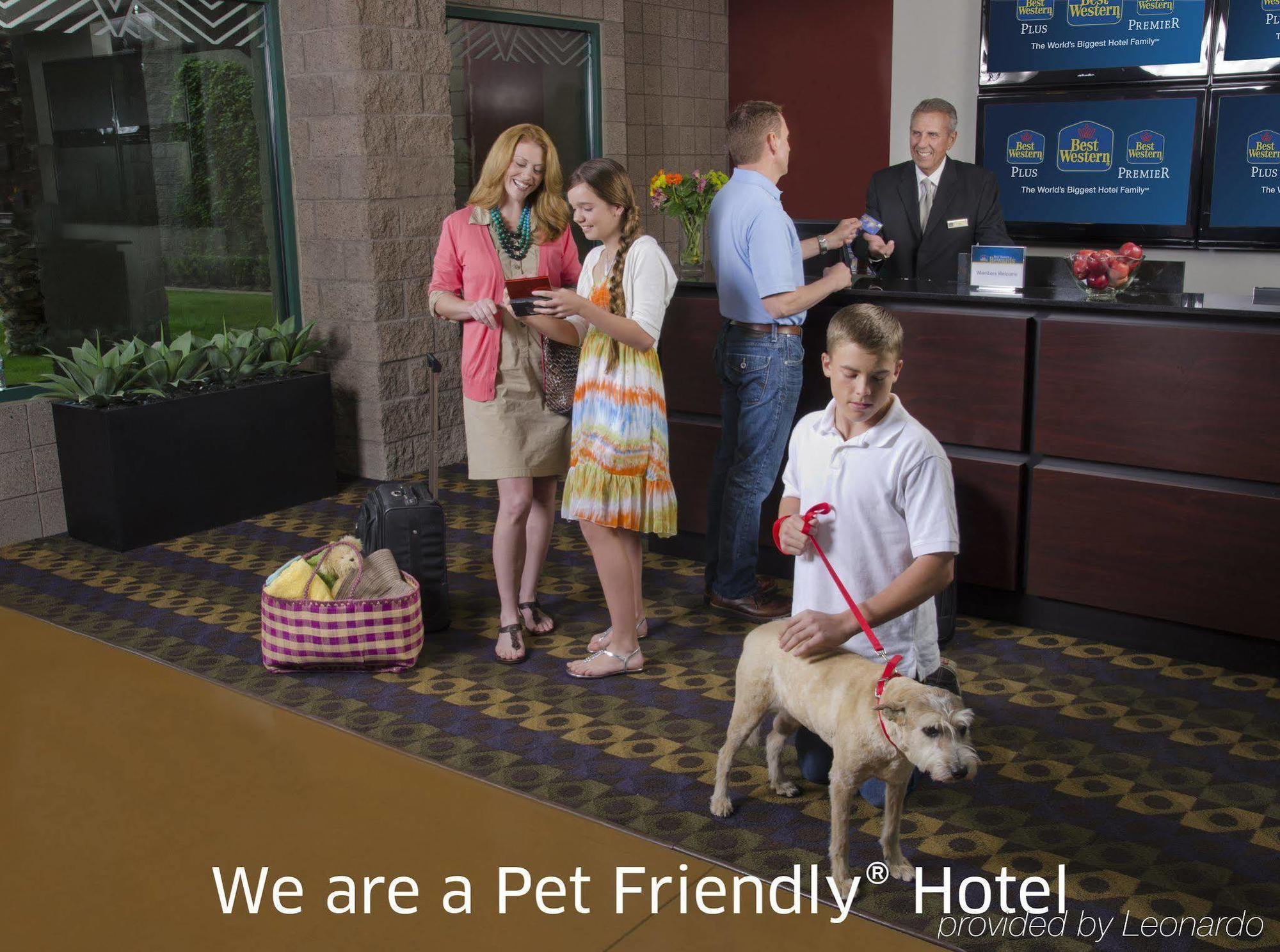 Best Western Plus Miami Intl Airport Hotel & Suites Coral Gables Dış mekan fotoğraf